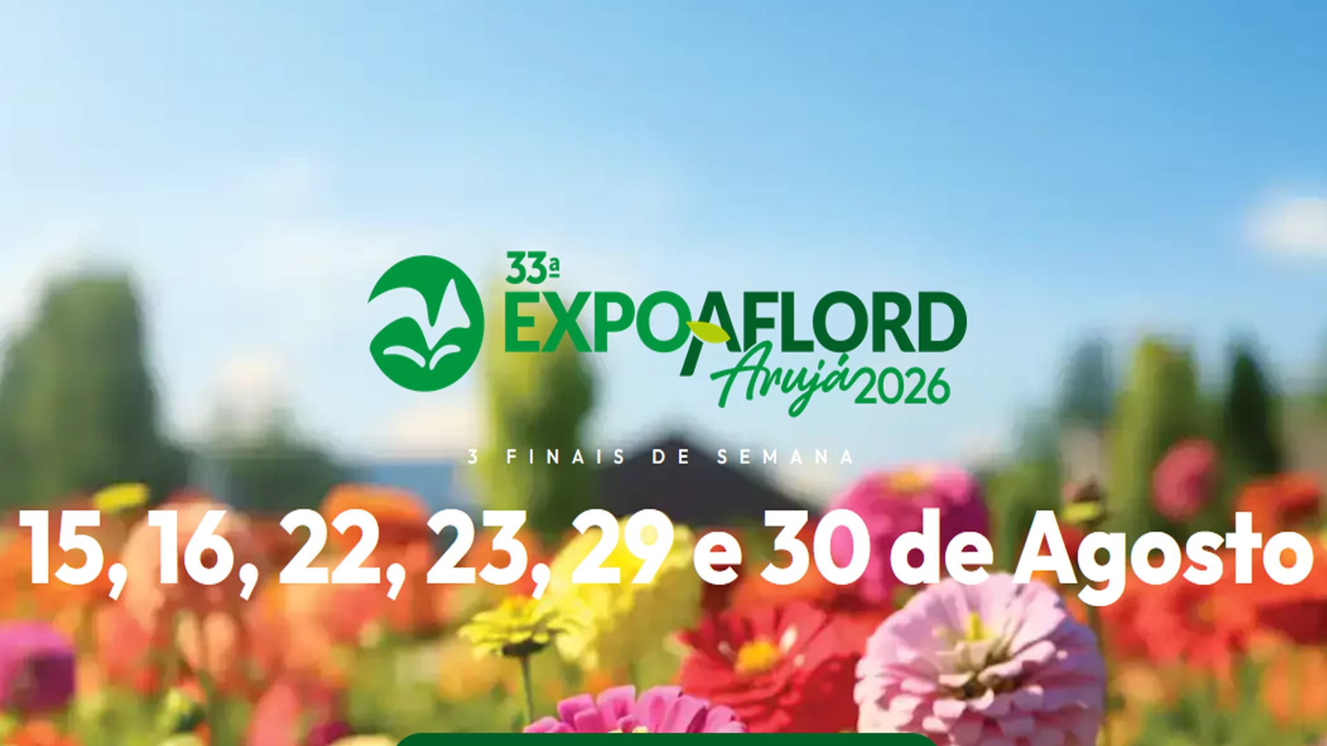 33ª Expo Aflord
